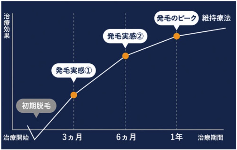 Duration-of-hair-regrowth